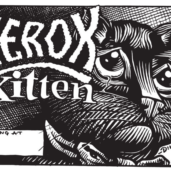 Xerox Kitten poster
